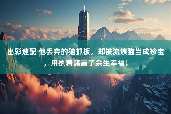 出彩速配 他丢弃的猫抓板，却被流浪猫当成珍宝，用执着赌赢了余生幸福！