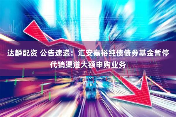 达麟配资 公告速递：汇安嘉裕纯债债券基金暂停代销渠道大额申购业务